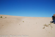 Shreevport_Sand_Dunes-4