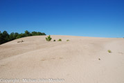 Shreevport_Sand_Dunes-6